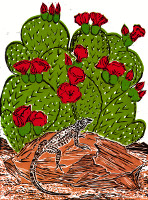 Host Cacti~Cochineal