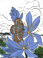 Blue Camas & Taylor's Checkerspot