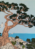 Monterey-Pine