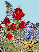 Mountain-Meadow