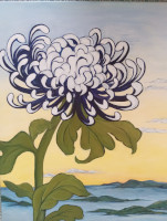 Chrysanthemum-Seto