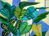 House-Plant